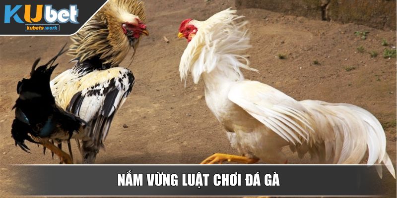 Nắm vững luật chơi đá gà