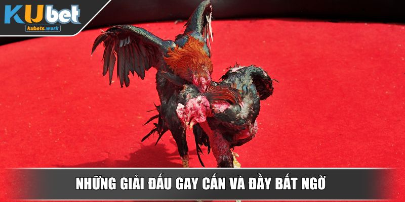 Những giải đấu gay cấn và đầy bất ngờ