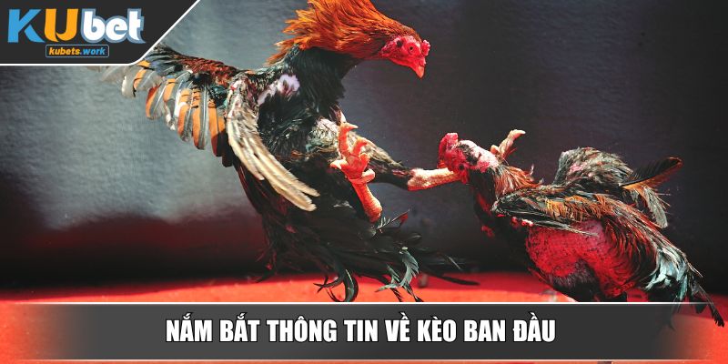 Nắm bắt thông tin về kèo ban đầu